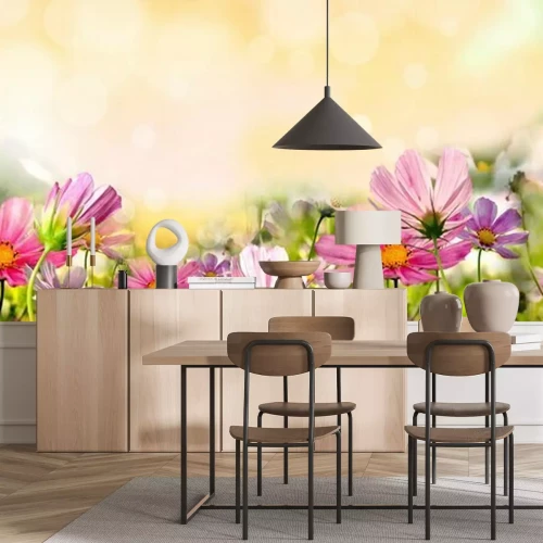 Papier peint  Fleurs dans le champ et rayons de soleil