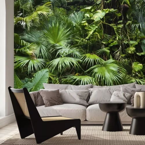 Papier peint  Jolies feuilles de palmier de l'arbre à la lumière du soleil