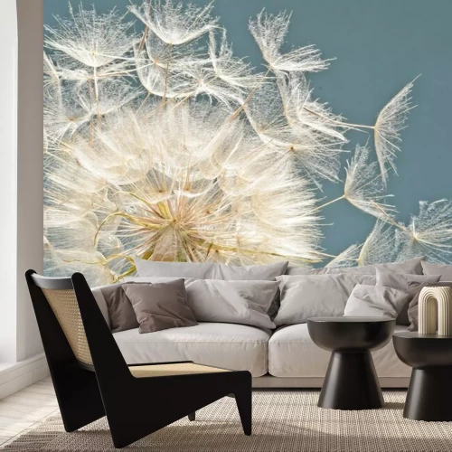 Papier peint  Graines de pissenlit en détails
