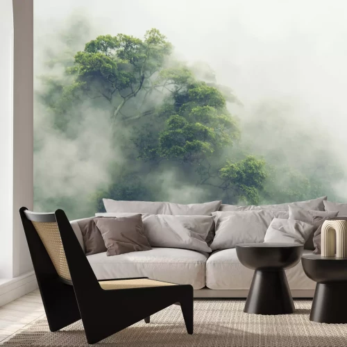 Papier peint  Forêt tropicale au Japon, image filtre vintage