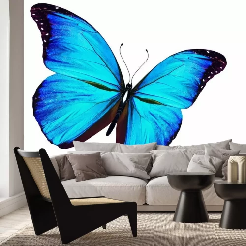 Papier peint  Papillon exotique sur fond clair