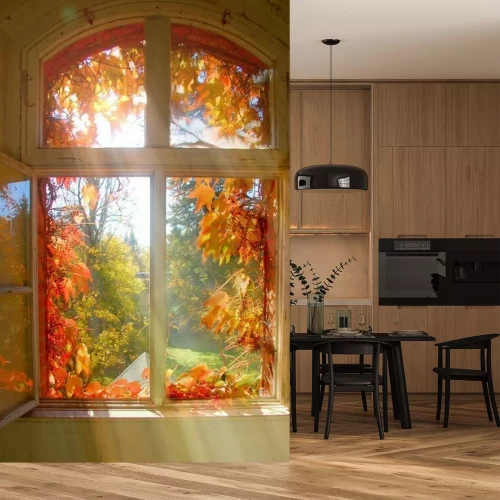 Papier peint  Feuilles d'arbres aux couleurs automnales