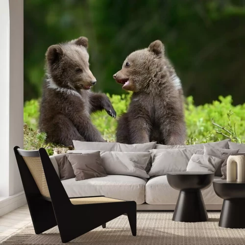 Papier peint  Deux oursons sympathiques