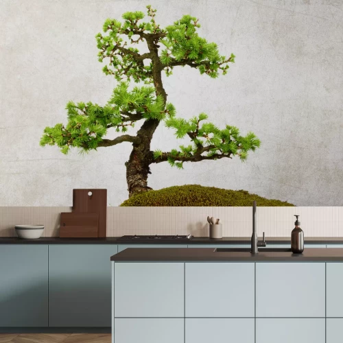 Papier peint  Arbre bonsaï