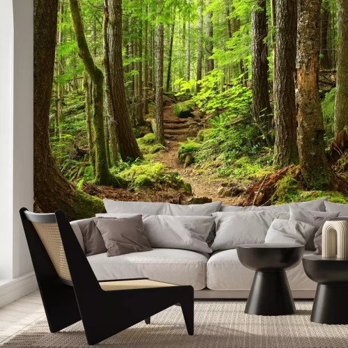 Papier peint  Une photo d'un sentier forestier du nord-ouest du Pacifique
