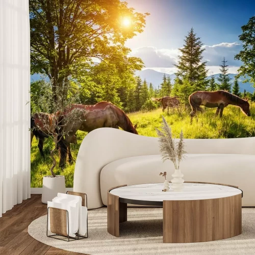 Papier peint  Des chevaux sales paissent dans les pâturages éclairés par le soleil. Lieu place Carpates, Ukraine, Europe. Monde de la beauté.