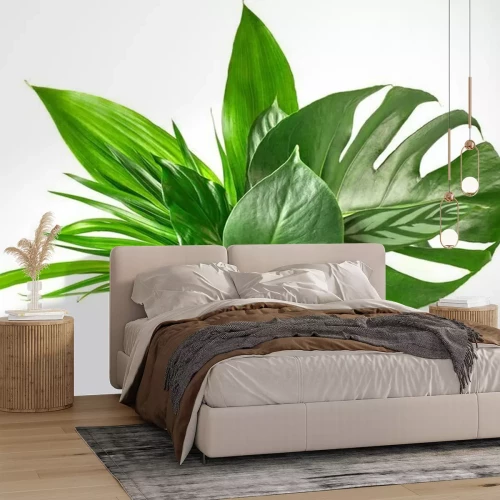 Sticker  diverses feuilles tropicales