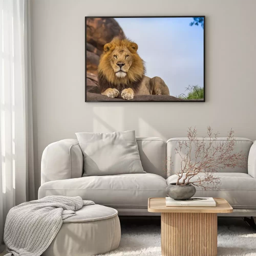 Visualisation du produit