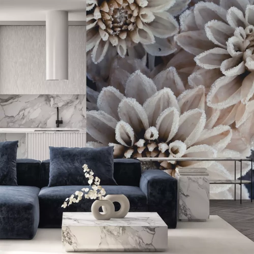 Sticker  Chrysanthèmes blancs par un matin givré