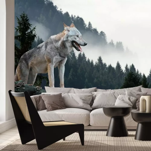 Papier peint  Animal dans une forêt brumeuse