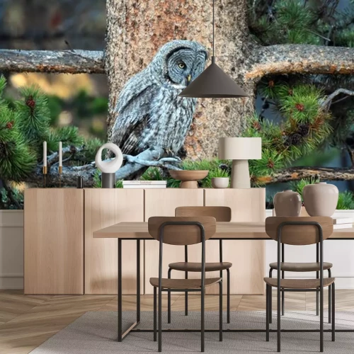 Sticker  Chouette lapone