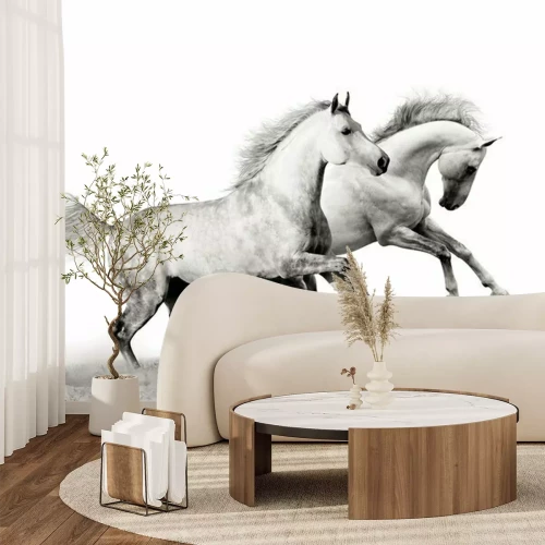 Papier peint  Deux chevaux gris dans la poussière grise