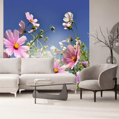 Papier peint  Fleurs champs