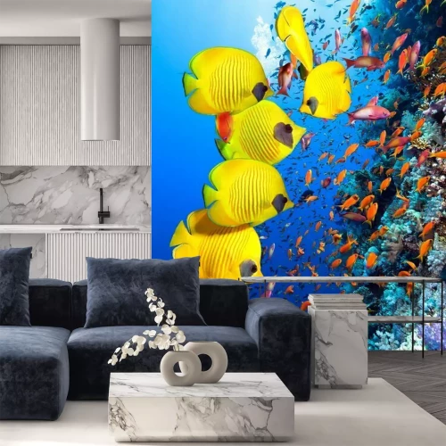 Papier peint  Récif corallien et poissons de l'océan