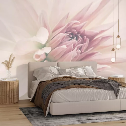 Papier peint  Gros plan d'une fleur rose