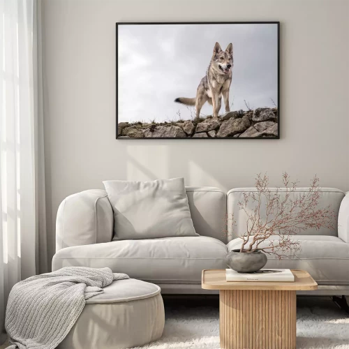 Visualisation du produit