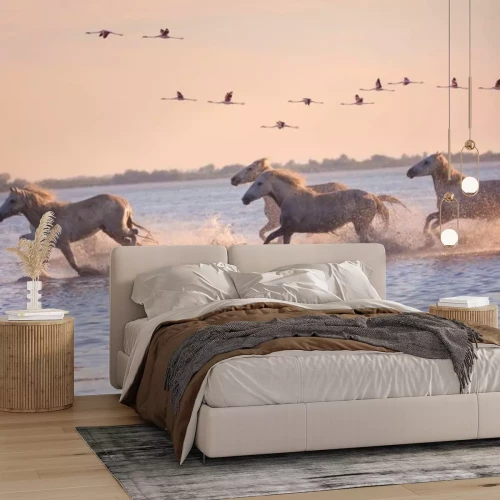 Papier peint  Chevaux blancs courant à travers l’eau