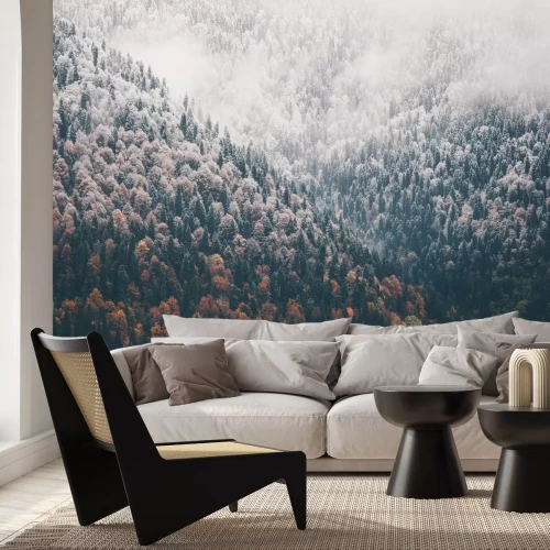 Papier peint  Forêt et hiver précoce