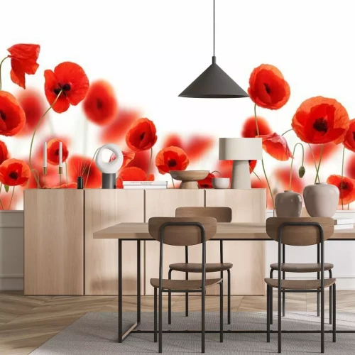 Papier peint  Coquelicots sur fond blanc