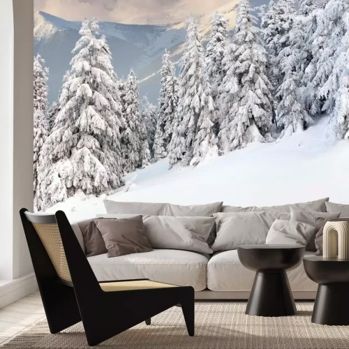 Papier peint  Vue d'hiver dans les montagnes