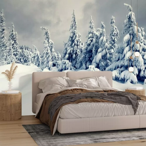 Papier peint  L'hiver dans les montagnes