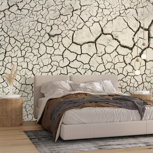 Papier peint  Sol sec