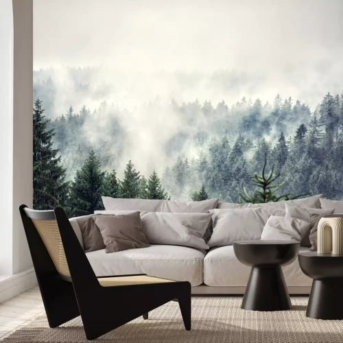 Papier peint  Vue sur la forêt brumeuse