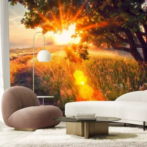 Papier peint  Panorama d'une prairie au matin avec des rayons de soleil