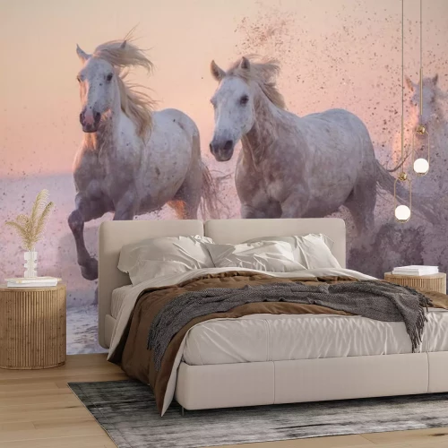 Papier peint  Chevaux sur le ciel pastel