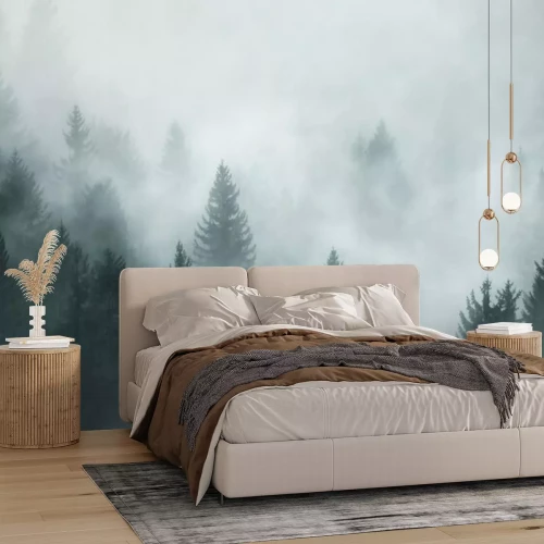 Papier peint  Arbres de conifères dans le brouillard