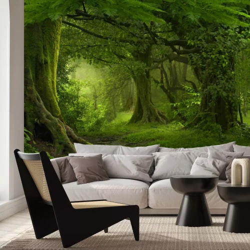 Papier peint  Jungle verte