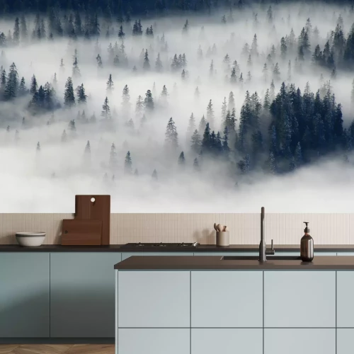 Papier peint  Nature et forêt dans le brouillard