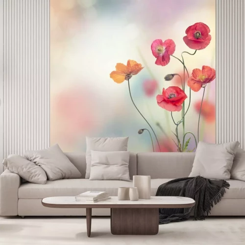 Papier peint  Fleurs de pavot rouge
