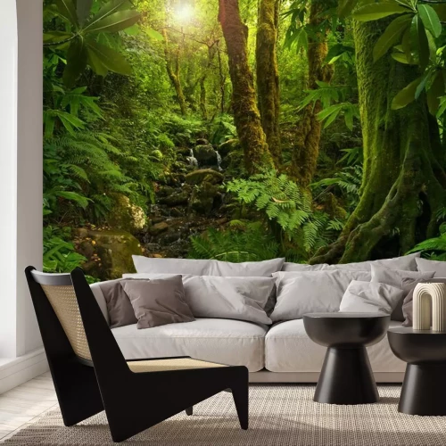 Papier peint  Une végétation dense dans la forêt vierge
