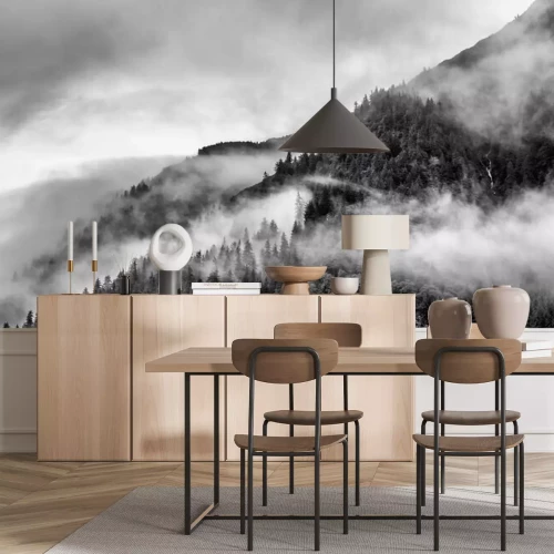 Papier peint  Forêt noire et blanche dans la brume