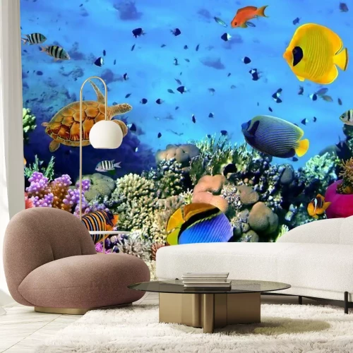 Papier peint  Eau bleue et récif corallien