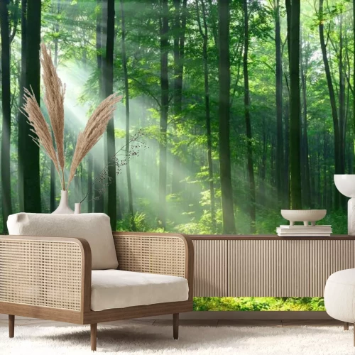 Papier peint  Paysage forestier avec des rayons de soleil parmi les arbres