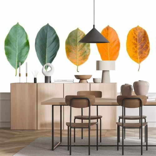 Sticker  Closeup eaves dans différentes couleurs et l'âge des feuilles de jacquier. Ligne de feuilles colorées en saison d'automne. Pour l'environnement a changé de concept. Vue de dessus ou fond plat et banni