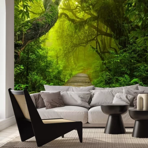 Papier peint  Le chemin en bois dans la forêt vierge