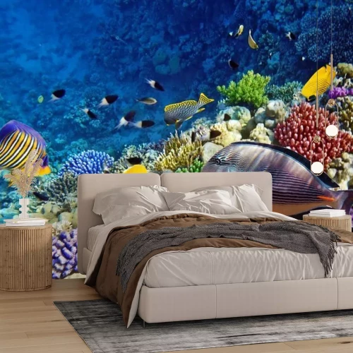 Papier peint  Poissons dans la Mer Rouge