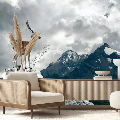 Papier peint  Cerf debout sur un rocher sur fond de nuages