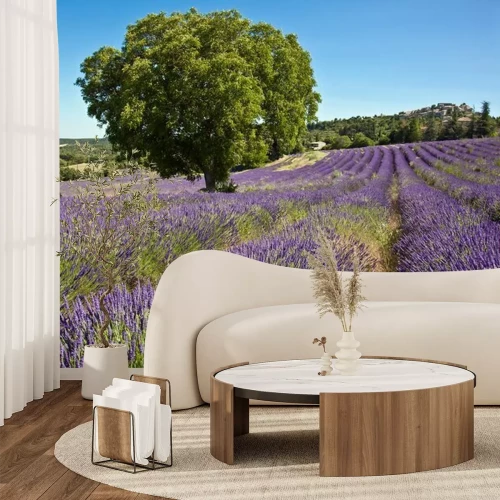 Papier peint  Vue sur la lavande et les arbres