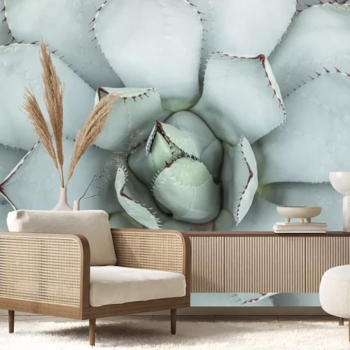 Papier peint  Une photo macro d'une succulente vert clair