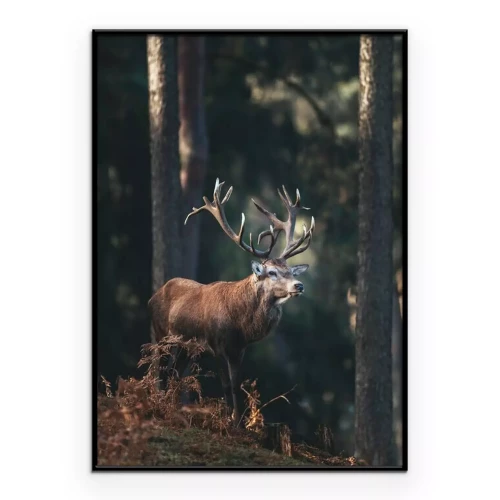 Poster  Un cerf aux grands bois parmi les arbres