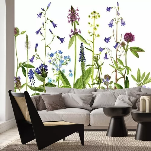 Papier peint  Plantes de champ