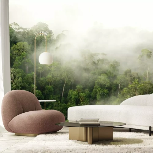 Papier peint  Forêt tropicale dans le brouillard