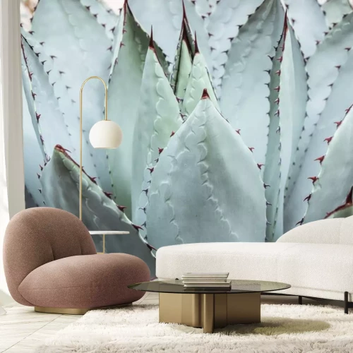 Sticker  grande plante succulente verte avec épine