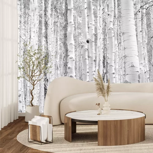 Sticker  Dessin noir et blanc de troncs de bouleau