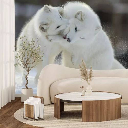 Papier peint  Renard polaire en hiver