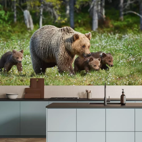 Papier peint  Une famille d'ours dans une clairière forestière